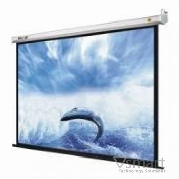 MÀN CHIẾU WALL DALITE (120” x 96”) 4:3