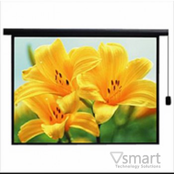 MÀN CHIẾU ĐIỆN ELECTRIC DALITE (70’’ x 70’’) 1:1