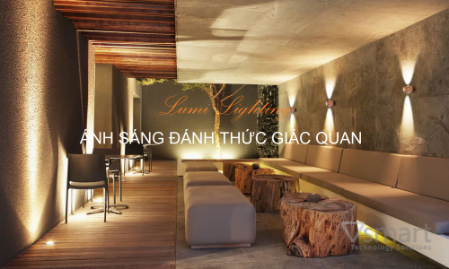 Lumi Lighting - Ánh Sáng Đánh Thức Giác Quan